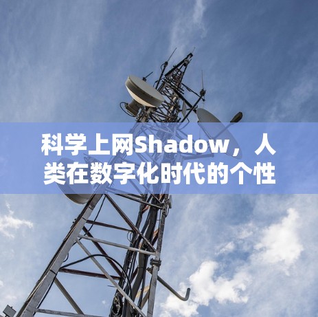 科学上网Shadow,人类在数字化时代的个性化体验 科学上网Shadow,人类在数字化时代的个性化体验