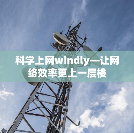 科学上网windly—让网络效率更上一层楼 科学上网windly—让网络效率更上一层楼