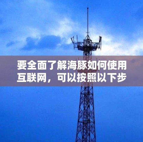 要全面了解海豚如何使用互联网,可以按照以下步骤进行 要全面了解海豚如何使用互联网,可以按照以下步骤进行