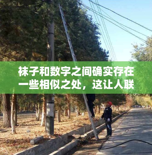 袜子和数字之间确实存在一些相似之处，这让人联想到数字的排列方式和排列顺序，因此袜子和数字之间有科学上网的特质。以下是详细的总结