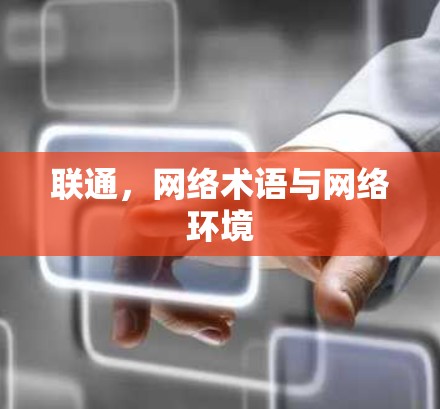 联通，网络术语与网络环境