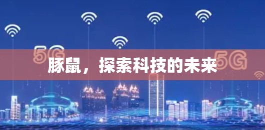 豚鼠，探索科技的未来