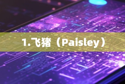 1.飞猪（Paisley）
