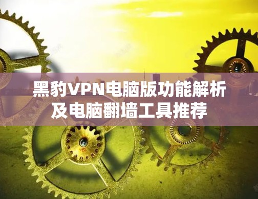 黑豹VPN电脑版功能解析及电脑翻墙工具推荐