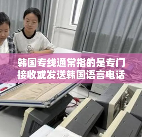 韩国专线通常指的是专门接收或发送韩国语言电话的线路或节点。这些节点分布在韩国的不同地区，包括首尔、釜山、济州岛等地，以及其他韩国城市和地区。以下是一些主要的韩国专线节点及其相关信息