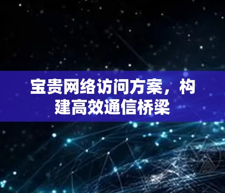 宝贵网络访问方案，构建高效通信桥梁