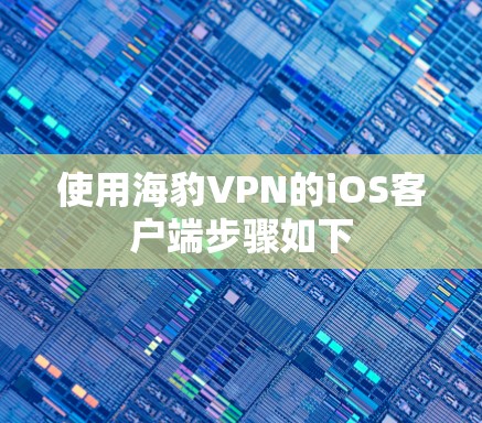 使用海豹VPN的iOS客户端步骤如下