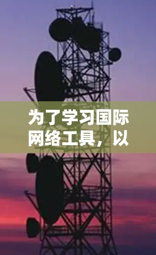 为了学习国际网络工具，以下是一个有条理的学习计划和建议