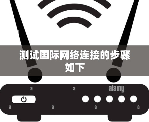 测试国际网络连接的步骤如下