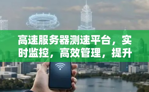 高速服务器测速平台，实时监控，高效管理，提升网络效率