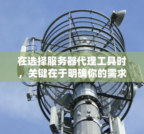 在选择服务器代理工具时，关键在于明确你的需求和预算。以下是一些建议，帮助你选择最适合的工具