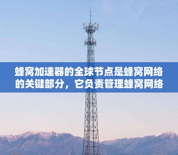 蜂窝加速器的全球节点是蜂窝网络的关键部分，它负责管理蜂窝网络的各个模块，确保数据传输的高效和稳定。以下是对蜂窝加速器全球节点的详细说明