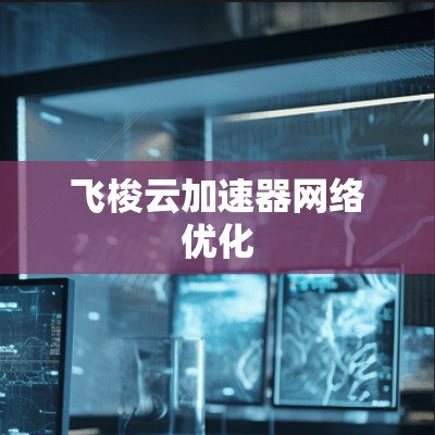 飞梭云加速器网络优化