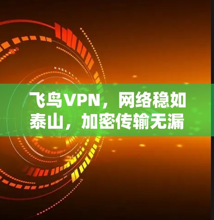 飞鸟VPN，网络稳如泰山，加密传输无漏洞