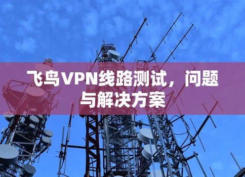 飞鸟VPN线路测试，问题与解决方案