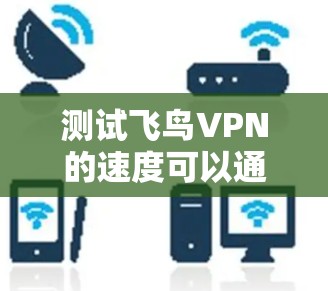 测试飞鸟VPN的速度可以通过以下步骤进行