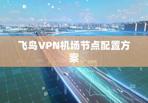 飞鸟VPN机场节点配置方案