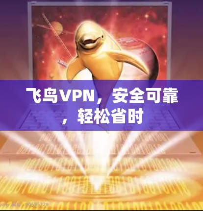 飞鸟VPN，安全可靠，轻松省时