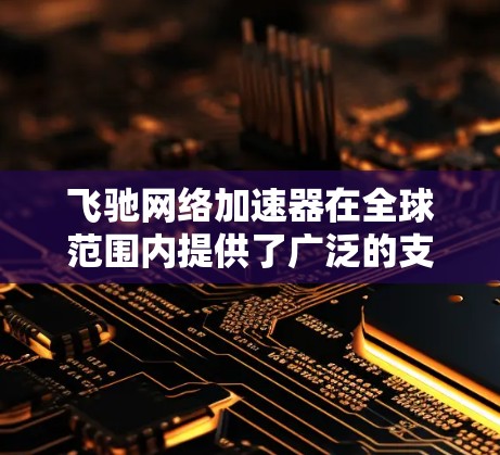 飞驰网络加速器在全球范围内提供了广泛的支持，特别是在海外节点上，它支持各种设备和网络类型，用户可以根据自己的需求选择合适的网络支持。以下是详细的信息