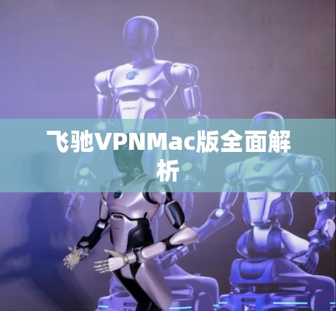 飞驰VPNMac版全面解析