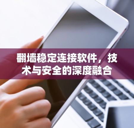 翻墙稳定连接软件，技术与安全的深度融合