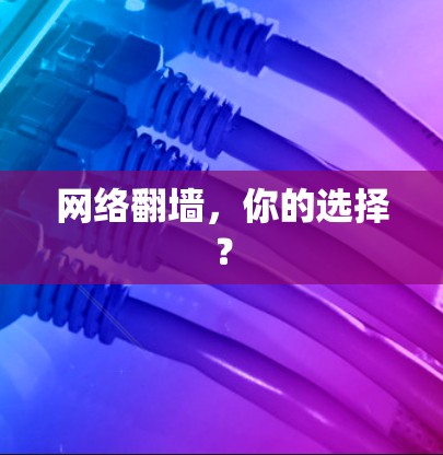网络翻墙，你的选择？