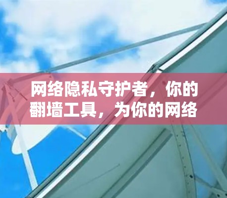 网络隐私守护者，你的翻墙工具，为你的网络生活护航