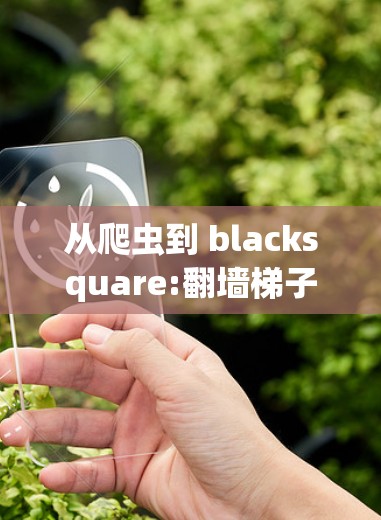 从爬虫到 blacksquare:翻墙梯子的稳定性测试与应用