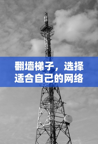 翻墙梯子，选择适合自己的网络架构