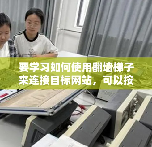 要学习如何使用翻墙梯子来连接目标网站，可以按照以下步骤进行