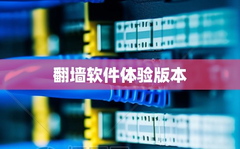 翻墙软件体验版本