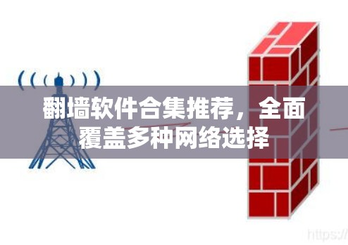 翻墙软件合集推荐，全面覆盖多种网络选择