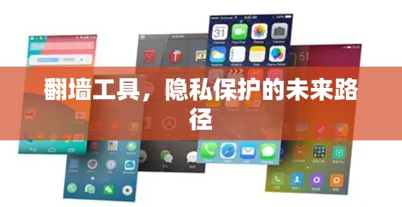 翻墙工具，隐私保护的未来路径