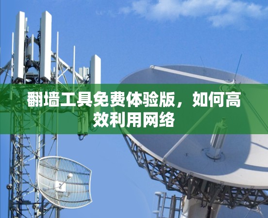 翻墙工具免费体验版，如何高效利用网络