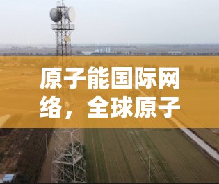 原子能国际网络，全球原子能事业的网络化与合作网络
