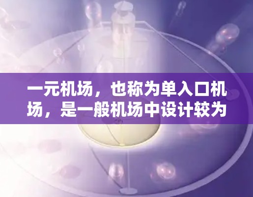 一元机场，也称为单入口机场，是一般机场中设计较为简单的特例，其主要特点包括