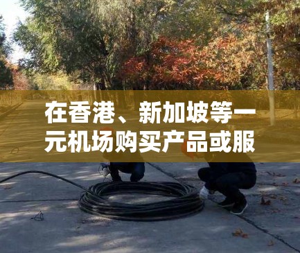 在香港、新加坡等一元机场购买产品或服务时，通常需要按照以下步骤进行