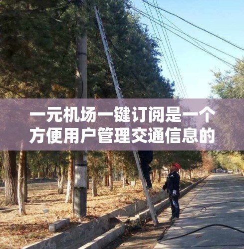 一元机场一键订阅是一个方便用户管理交通信息的解决方案。以下是几个知名的订阅平台，供你参考