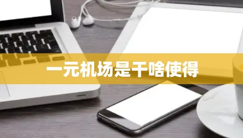 一元机场是干啥使得