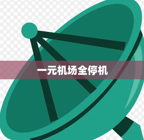 一元机场全停机