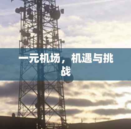 一元机场，机遇与挑战