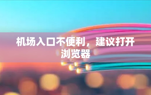 机场入口不便利，建议打开浏览器