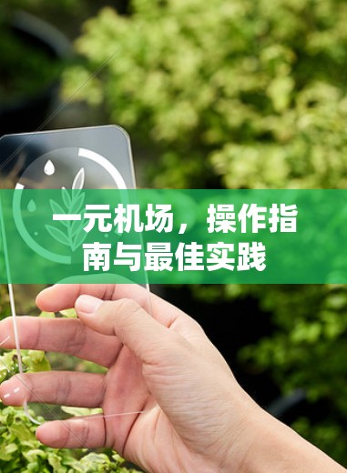 一元机场，操作指南与最佳实践