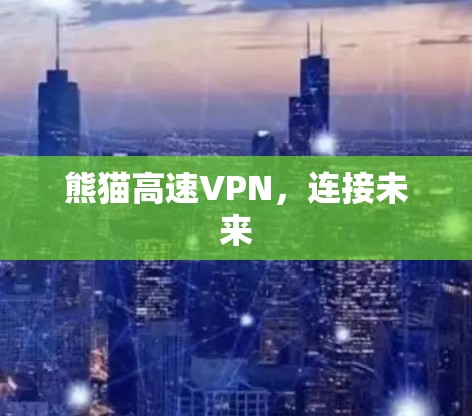 熊猫高速VPN，连接未来