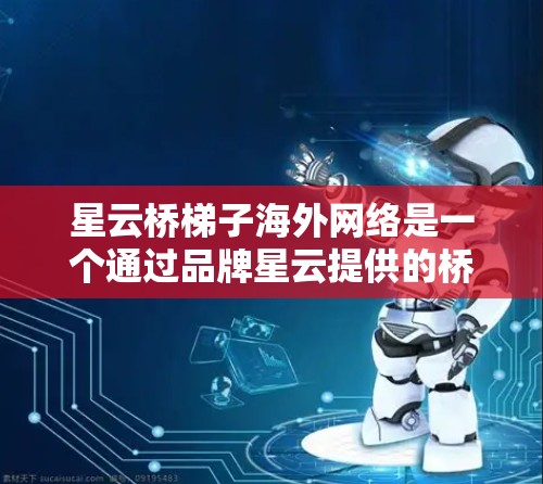 星云桥梯子海外网络是一个通过品牌星云提供的桥梯产品在全球市场销售的业务。以下是对该业务的详细分析
